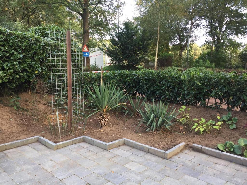 Rumah Kita, Bungalow Met 2 Slaapkamers In Het Mooie Drenthe Erm Exteriör bild